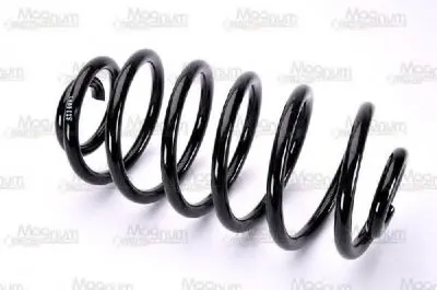 винтовая пружина Magnum Technology купить