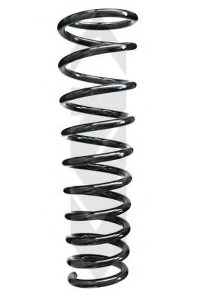 винтовая пружина SPIDAN купить