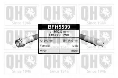 Тормозной шланг QUINTON HAZELL купить