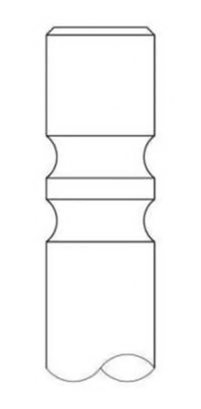 Выпускной клапан INTERVALVES купить