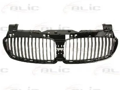 Решетка радиатора BLIC купить