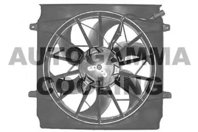Вентилятор, охлаждение двигателя AUTOGAMMA купить