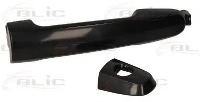 Ручка двери BLIC купить