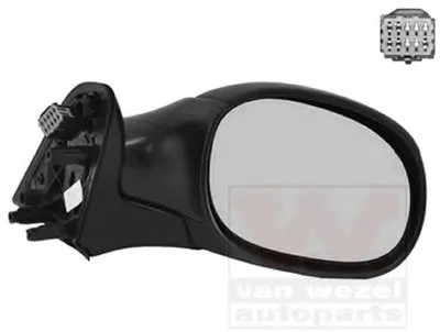 Наружное зеркало VAN WEZEL купить