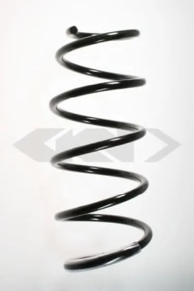 винтовая пружина SPIDAN купить