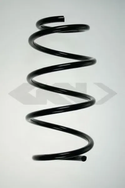 винтовая пружина SPIDAN купить