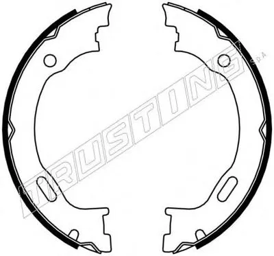 Комплект тормозных колодок, стояночная тормозная система TRUSTING купить