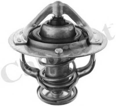 Термостат, охлаждающая жидкость CALORSTAT by Vernet купить