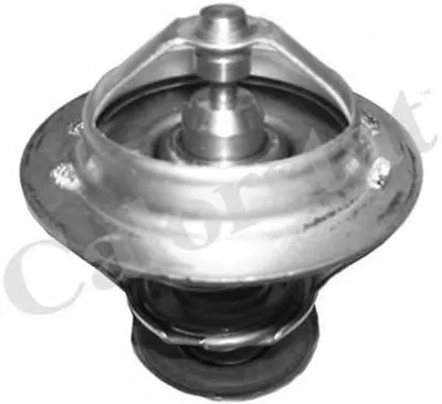 Термостат, охлаждающая жидкость CALORSTAT by Vernet купить