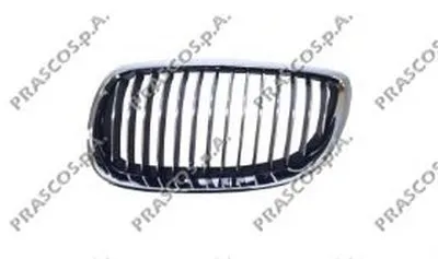 Решетка радиатора Premium PRASCO купить