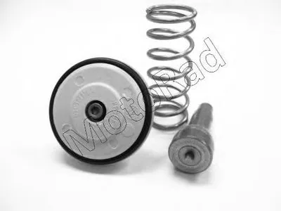 Термостат, охлаждающая жидкость MOTORAD купить