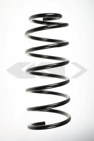 винтовая пружина SPIDAN купить