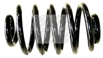 винтовая пружина MAPCO купить