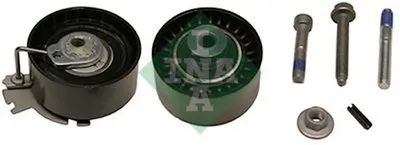 Комплект роликов, зубчатый ремень INA купить