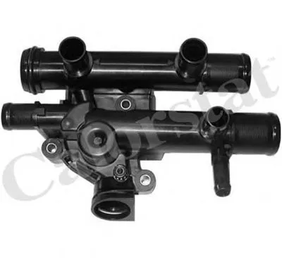 Термостат, охлаждающая жидкость CALORSTAT by Vernet купить