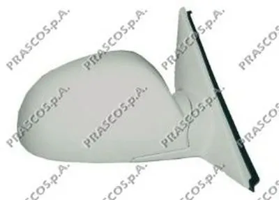 Наружное зеркало PRASCO купить