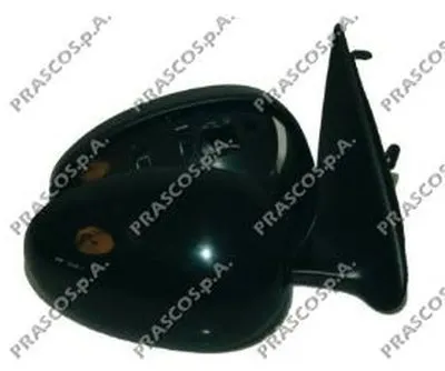 Наружное зеркало PRASCO купить