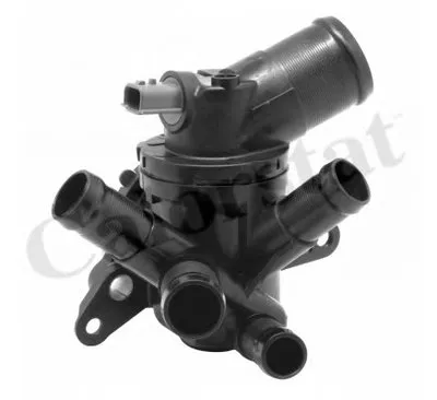 Термостат, охлаждающая жидкость CALORSTAT by Vernet купить