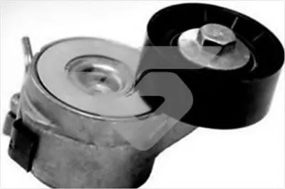 Натяжной ролик, поликлиновой  ремень HUTCHINSON купить