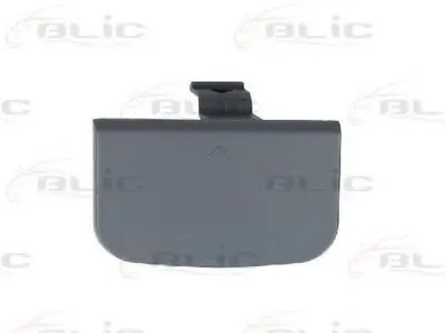 Покрытие буфера, прицепное обор BLIC купить