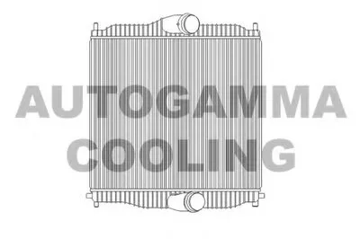 Интеркулер AUTOGAMMA купить