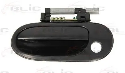 Ручка двери BLIC купить