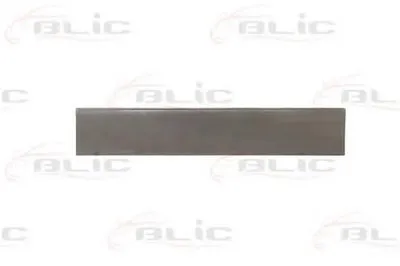 Задняя дверь BLIC купить