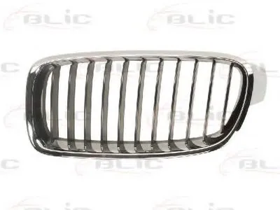 Решетка радиатора BLIC купить