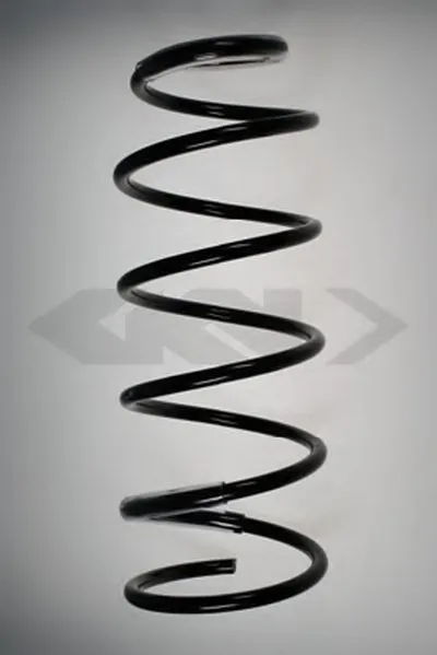 винтовая пружина SPIDAN купить