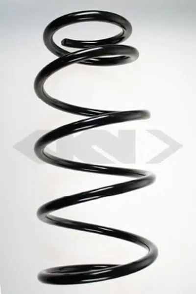 винтовая пружина SPIDAN купить