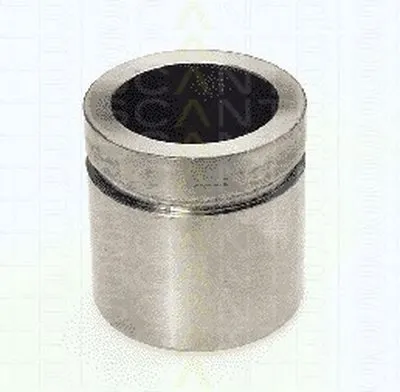 Поршень, корпус скобы тормоза TRISCAN купить