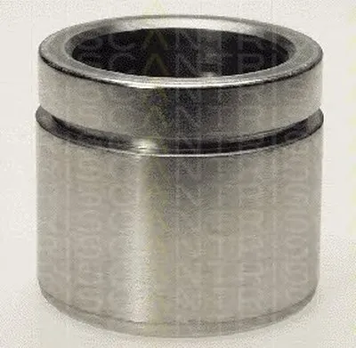 Поршень, корпус скобы тормоза TRISCAN купить