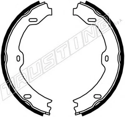 Комплект тормозных колодок, стояночная тормозная система TRUSTING купить