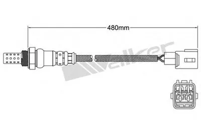 Лямда-зонд WALKER PRODUCTS купить