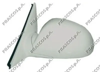 Наружное зеркало PRASCO купить