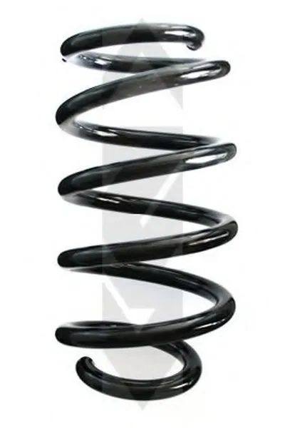 винтовая пружина SPIDAN купить