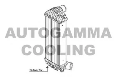 Интеркулер AUTOGAMMA купить