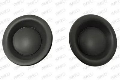 Облицовка, противотуманная фара PRASCO купить