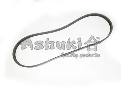 V-Ribbed Belts ASHUKI купить