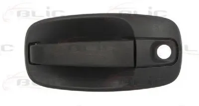 Ручка двери BLIC купить