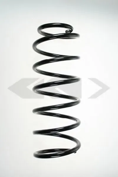 винтовая пружина SPIDAN купить