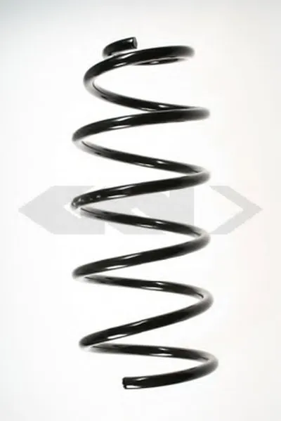 винтовая пружина SPIDAN купить