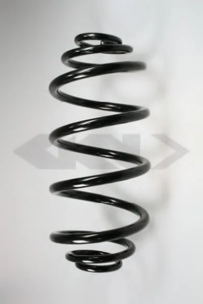 винтовая пружина SPIDAN купить