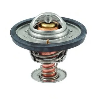 Термостат, охлаждающая жидкость FISPA купить