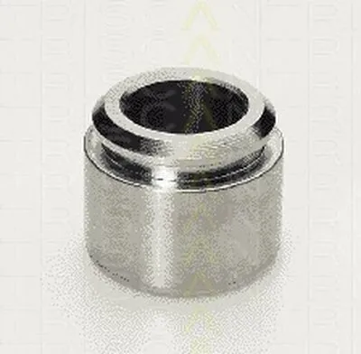 Поршень, корпус скобы тормоза TRISCAN купить