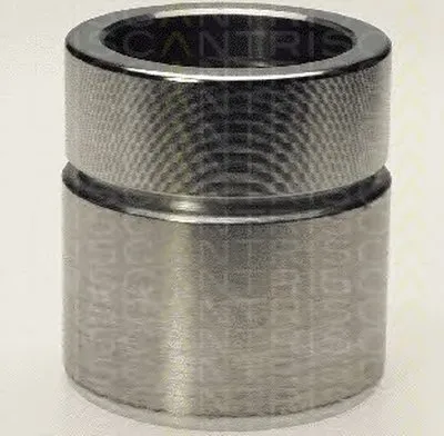 Поршень, корпус скобы тормоза TRISCAN купить