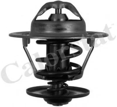 Термостат, охлаждающая жидкость CALORSTAT by Vernet купить