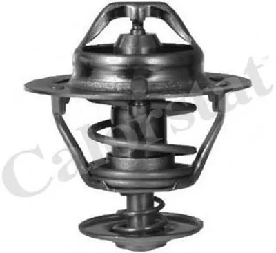 Термостат, охлаждающая жидкость CALORSTAT by Vernet купить