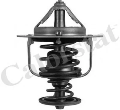 Термостат, охлаждающая жидкость CALORSTAT by Vernet купить