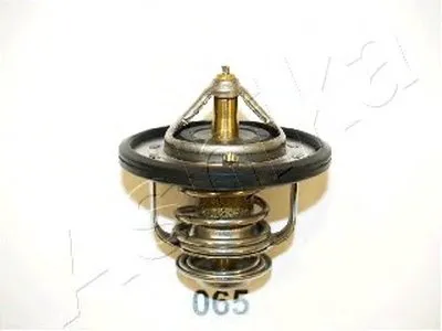 Термостат, охлаждающая жидкость ASHIKA купить